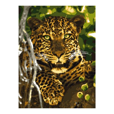 Раскраска по номерам "Дикий леопард"