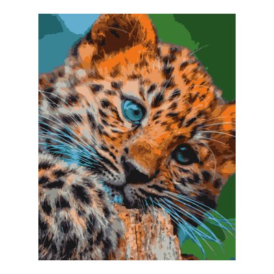 Кпн-207 Картина по номерам на картоне 40*50 см "Леопардовый котёнок"