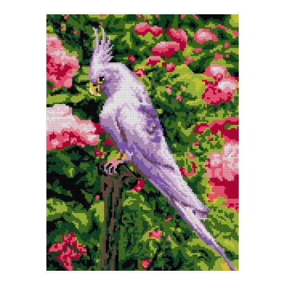 Ам-050 Алмазная мозаика 30*40 см (полное заполнение) "Белый попугай"