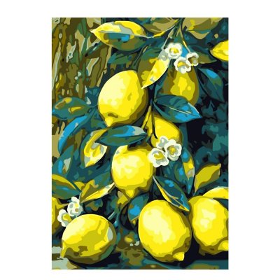 Кпн-285 Картина по номерам на картоне 20*28,5 см "Лимоны"