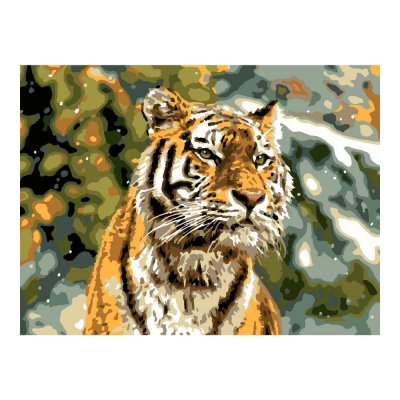 Рх-144 Картина по номерам холст на подрамнике 30*40 см "Снежный тигр"