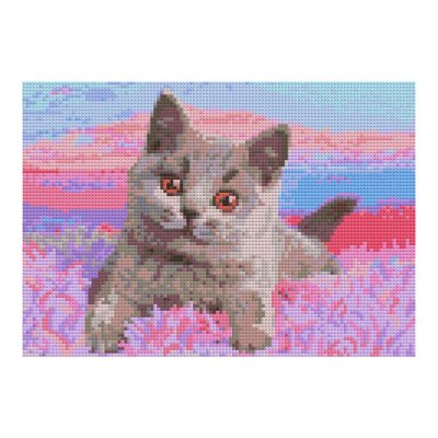 Ам-148 Алмазная мозаика 21*30 см (полное заполнение) "Британский котенок"